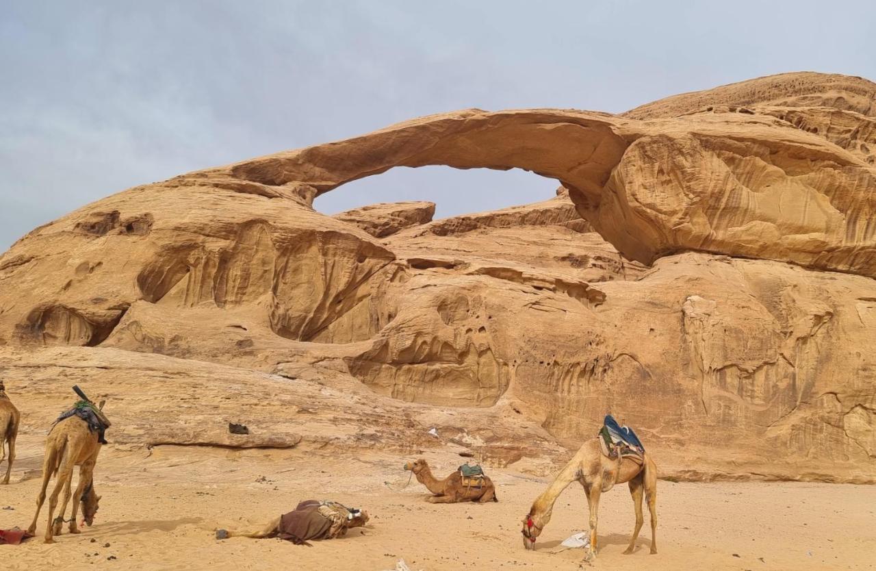 Wadi Rum Stargate Camp Zewnętrze zdjęcie